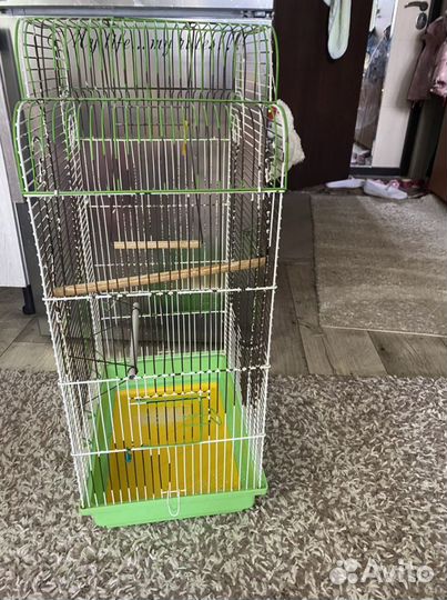 Клетка для попугая