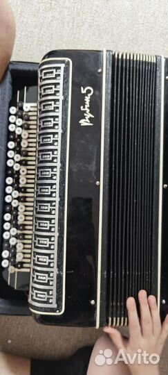 Баян рубин 5