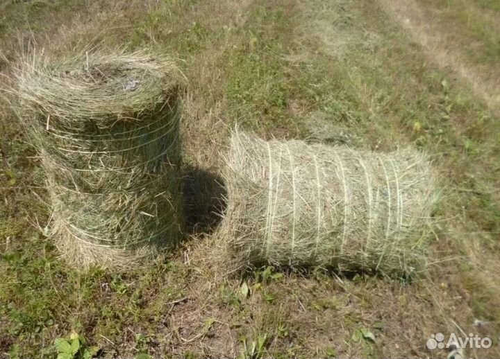 Сено в тюках