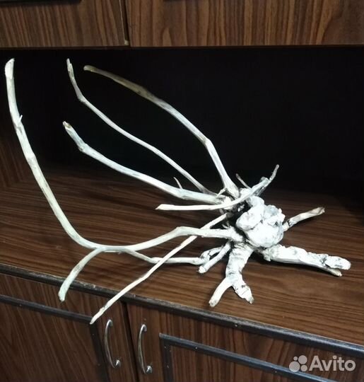 Коряги для рыбок, сомиков