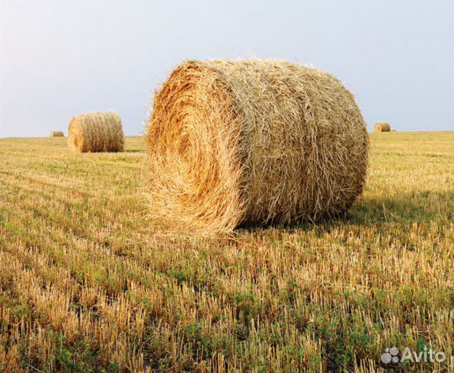Сено, солома