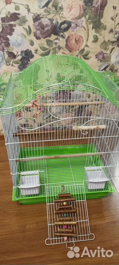 Клетка среднего размера для попугая