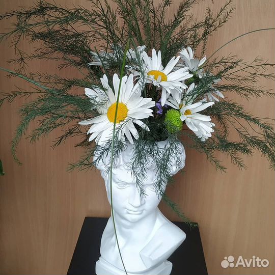 Ваза статуэтка кашпо Голова Давида, лицо девушки