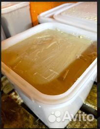 Мед оптом. Мед разнотравье