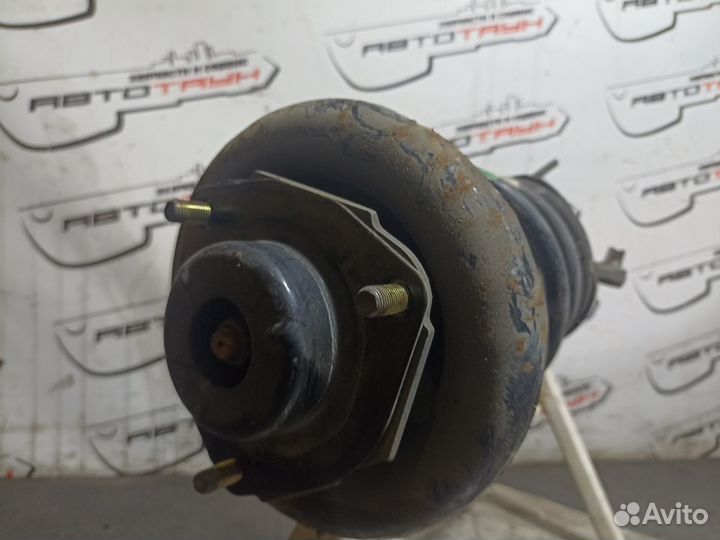 Стойка ходовки nissan primera HP12 QP12 RP12 TNP12 TP12 WHP12 WRP12 wtnp12 WTP12 передняя правая 543