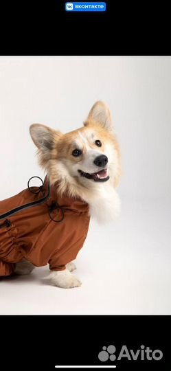 Дождевик для собак, корги