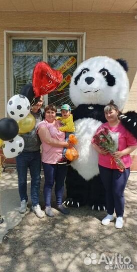 Экспресс поздравление.Мишка Тедди,Панда,Пупсы