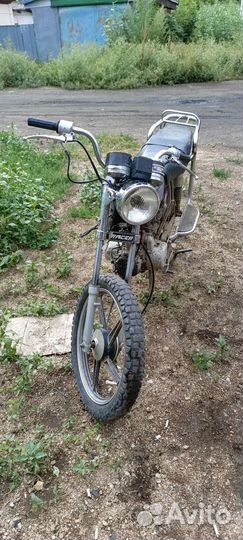 Продам альфу