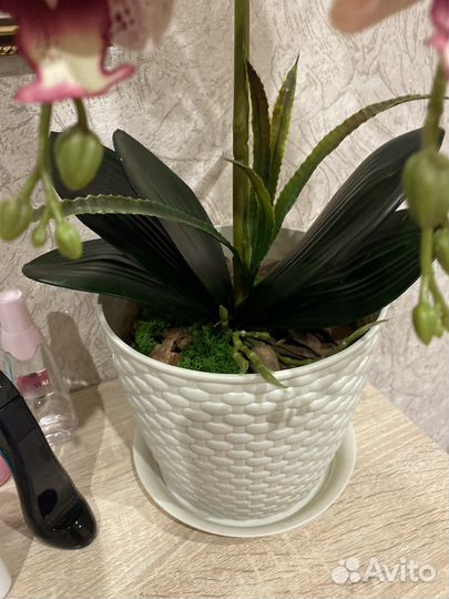 Подарок на 8 марта