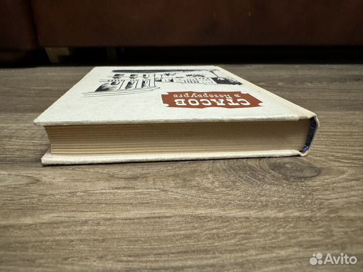 Е.Г. Салита Е.И. Суворова - Стасов в Петербурге