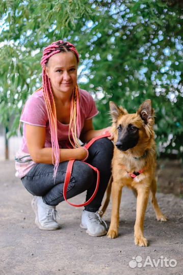 Манго ищет дом