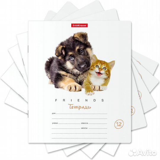 Набор тетрадей 12 листов