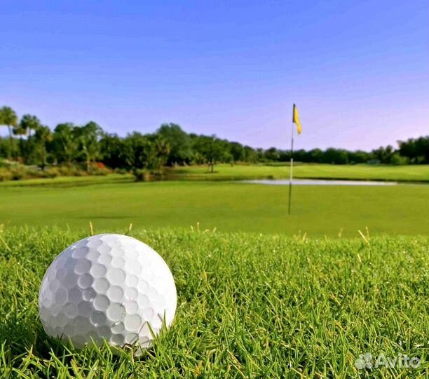 Посев газона. Семена