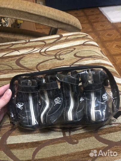 Одежда для животных