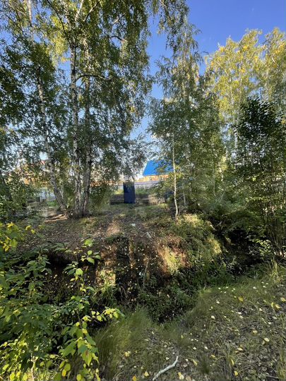 Дом 110 м² на участке 11 сот.