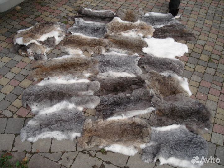 Шкурки кролика