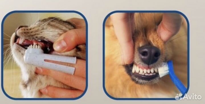 Зубная паста для собак и кошек набор