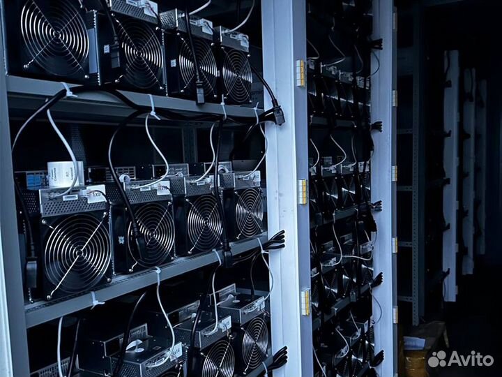 Майнинг отель Хостинг