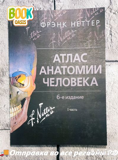 Атлас Анатомии Фрэнк Неттер 6-е издание 1,2,3 част