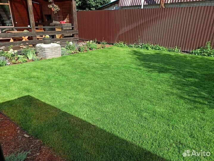 Рулонный газон с укладкой под ключ