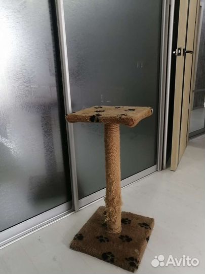 Когтеточка