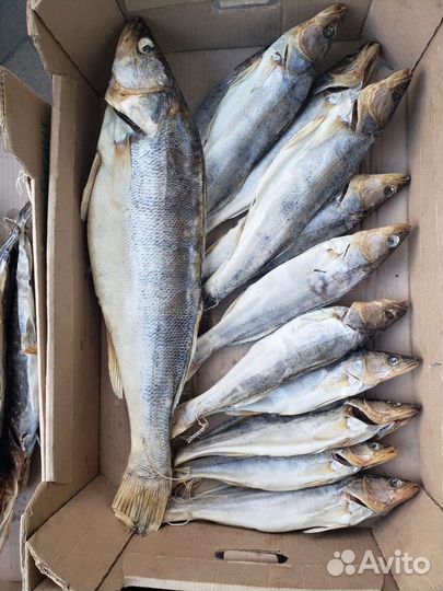 Рыба вяленая