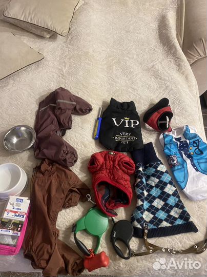 Одежда для маленьких собак