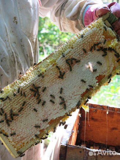 Воск пчелиный натуральный. Двойная очистка