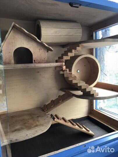 Клетка-витрина