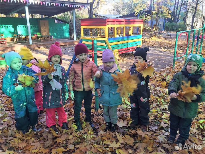 Дошкольное образование