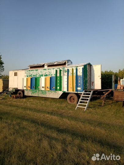 Пасека, передвижной пчелопавильон