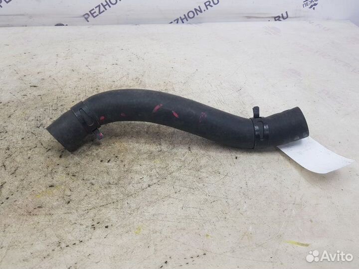 Шланг радиатора верхний Hyundai Solaris