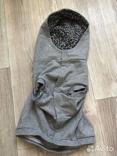 Одежда для собак