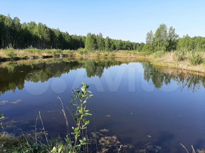 Участок 3,2 га (СНТ, ДНП)