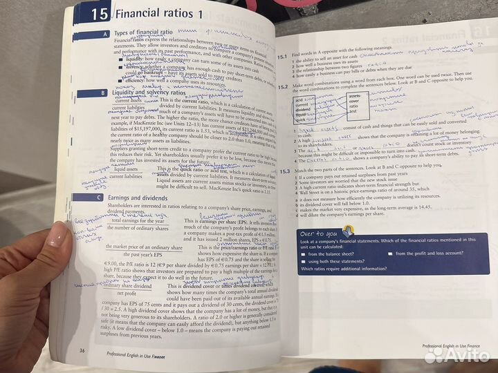 English professional Finance MacKenzie