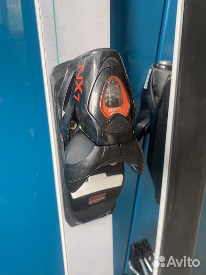 Горные лыжи