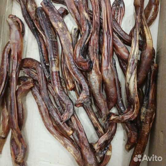 Корм, лакомства для собак