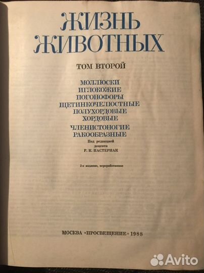 Жизнь животных