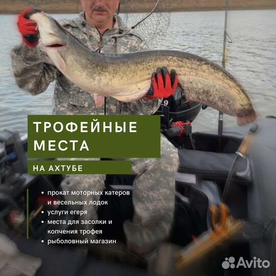 Рыбалка на Ахтубе