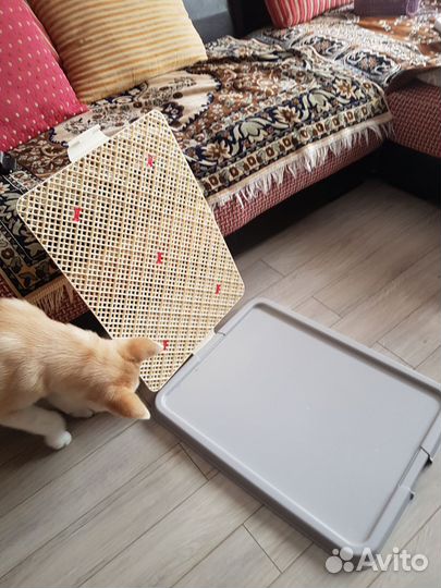 Лоток для собак под пеленку