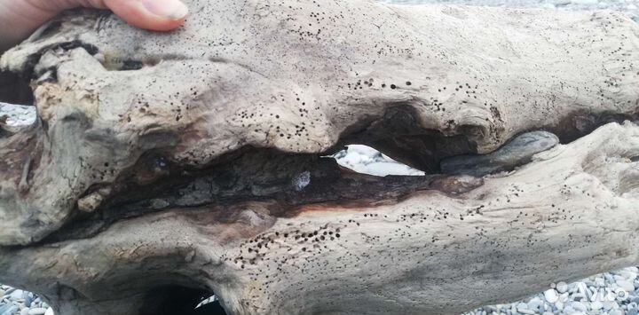 Коряга дрифтвуд для аквариума, и творческих идей