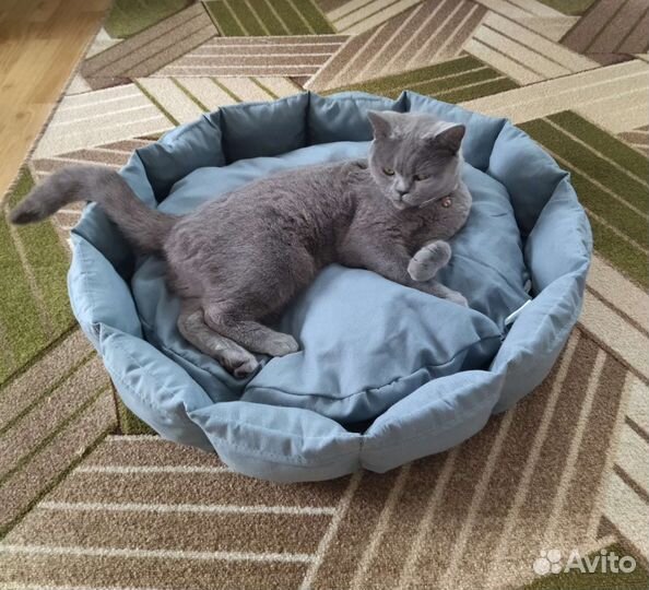 Лежанка для животных