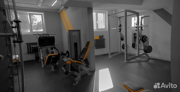 Профессиональные тренажеры