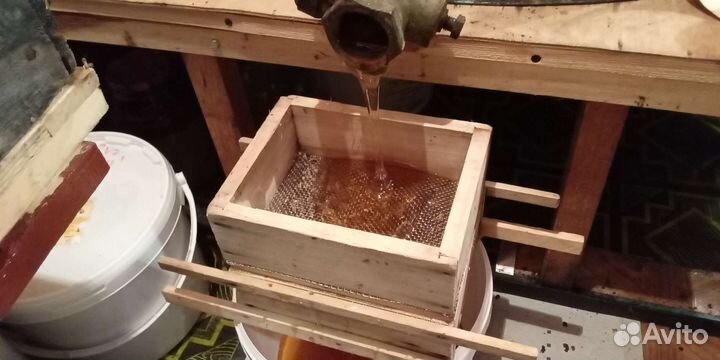 Мед разнотравье 2023 г