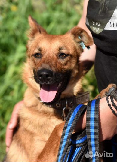 Мне очень нужен дом