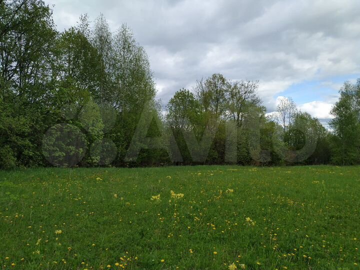 Дом 48 м² на участке 30 сот.