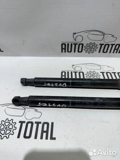 Амортизатор двери багажника Renault Duster