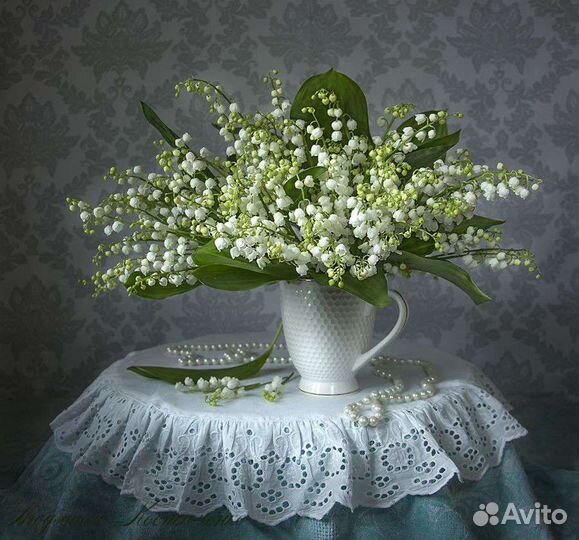 Ландыши (рассада)