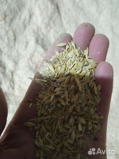 Корм для животных