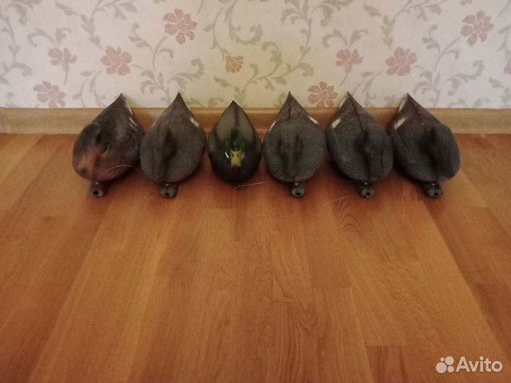 Чучела уток